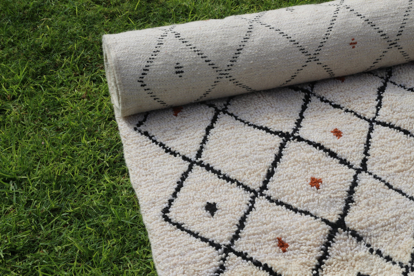 AMUD - THE SEEDS - LES GRAINES