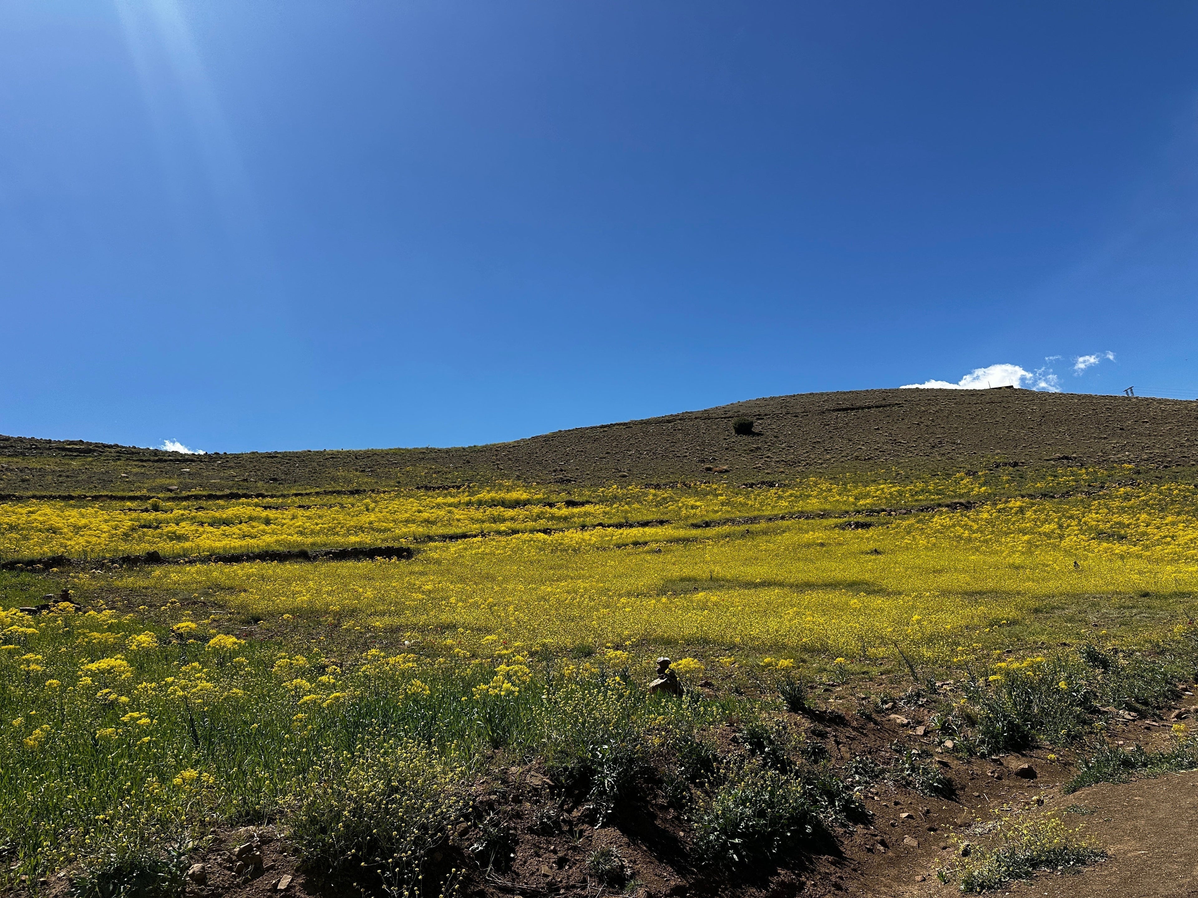 Our Design Philosophy