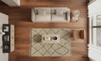 Modern living room with a beige sofa, armchair, and beni ouarain rug.