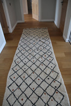 AMUD - THE SEEDS - LES GRAINES