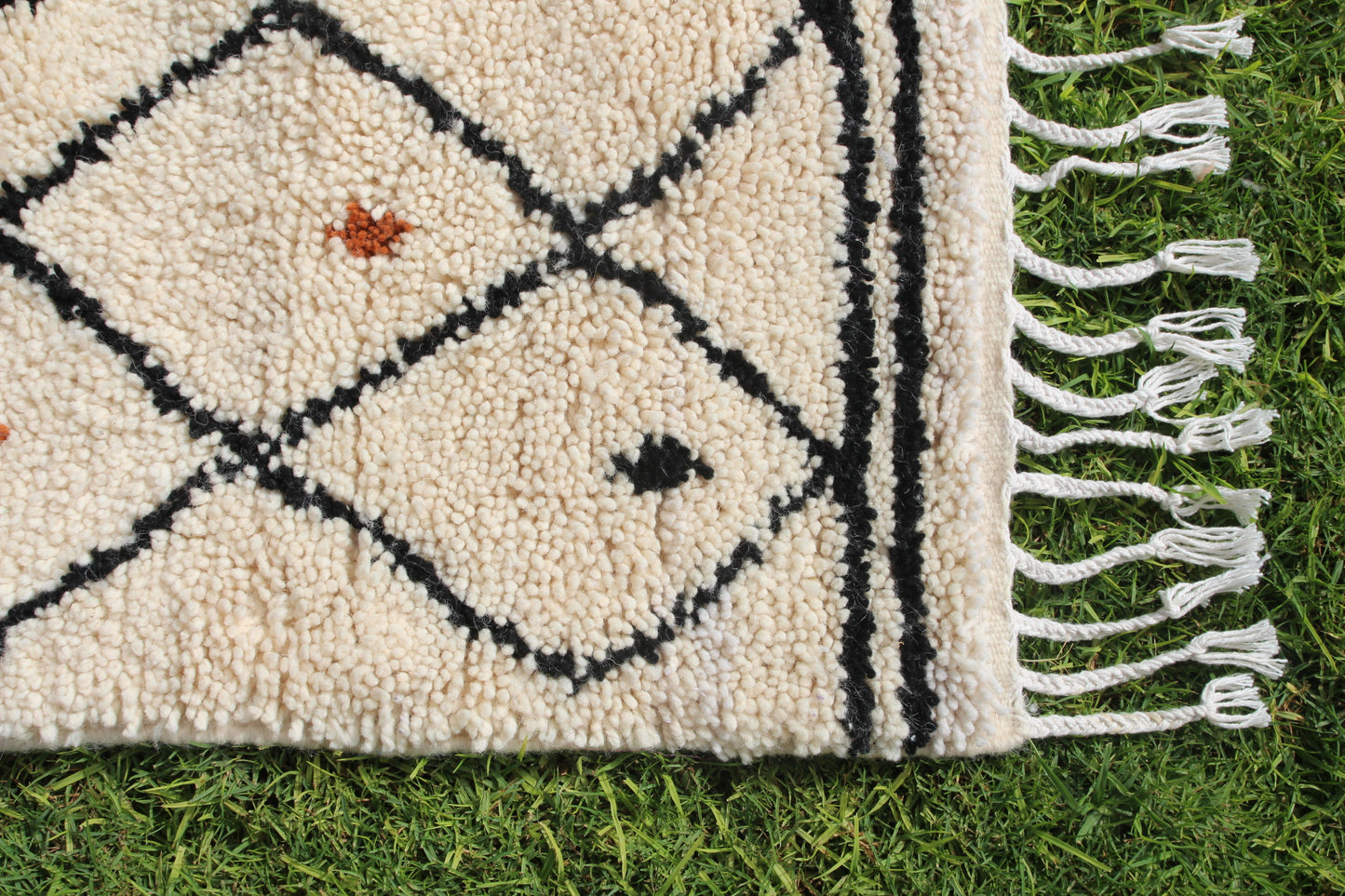 AMUD - THE SEEDS - LES GRAINES