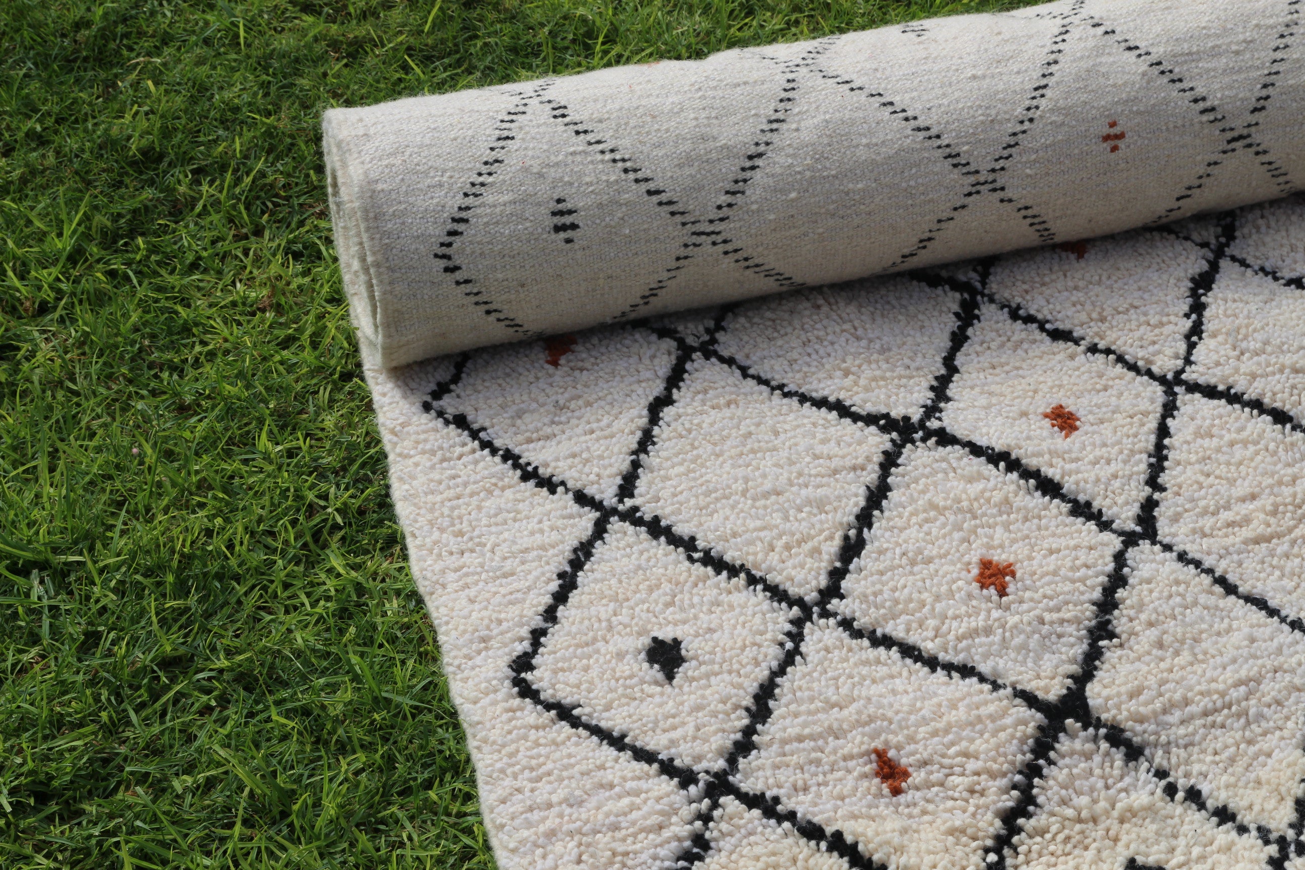 AMUD - THE SEEDS - LES GRAINES